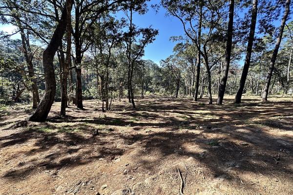 Foto de inmueble en km 5.5 Carr. La Frontera, Col. San Antonio C.P. 49340, Tapalpa