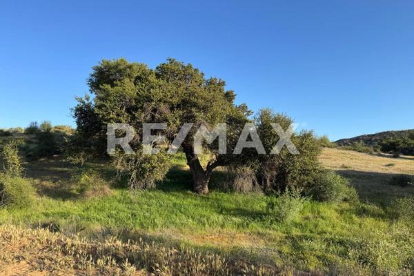 Foto de inmueble en La ruta del vino km 70, Col. Lomas Del Sauzal C.P. 22760, Ensenada