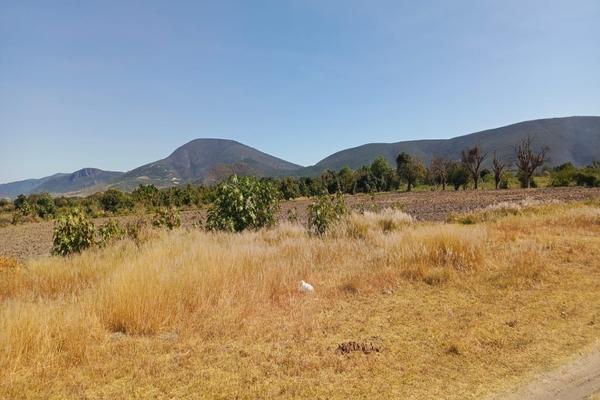 Foto de inmueble en  , Col. La Trinidad Tepango C.P. 74365, Atlixco