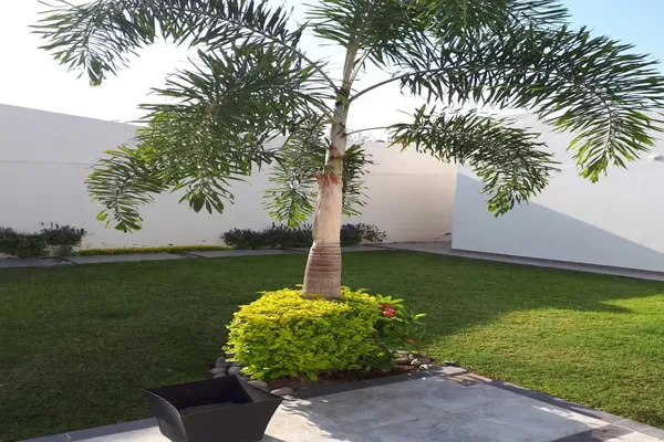 Foto de inmueble en laguna norte #693, Col. Torreón Jardín C.P. 27200, Torreón