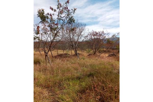 Foto de inmueble en  , Col. Las Fuentes C.P. 62554, Jiutepec