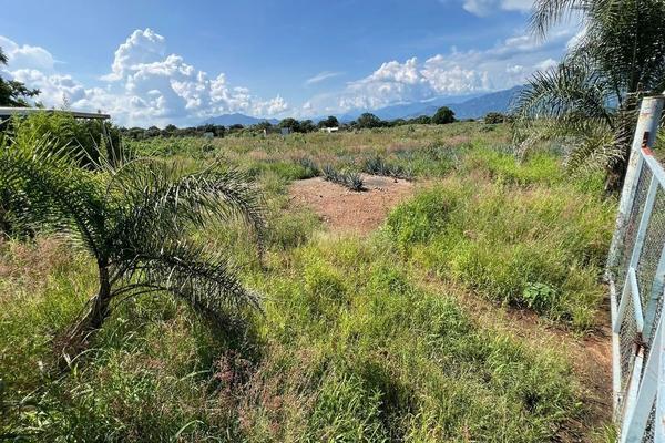 Foto de inmueble en Las piedras, Col. El Ranchito C.P. 46400, Tequila