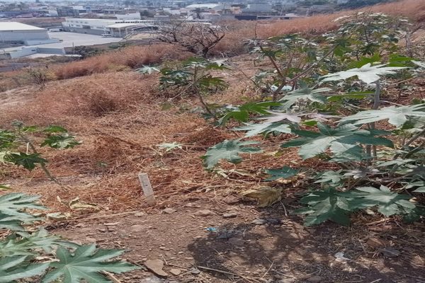 Foto de inmueble en Limonero, Col. Ahuatepec C.P. 62300, Cuernavaca