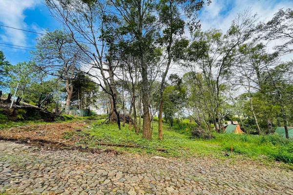 Foto de inmueble en Lomas Verdes, Col. Mazamitla C.P. 49500, Mazamitla