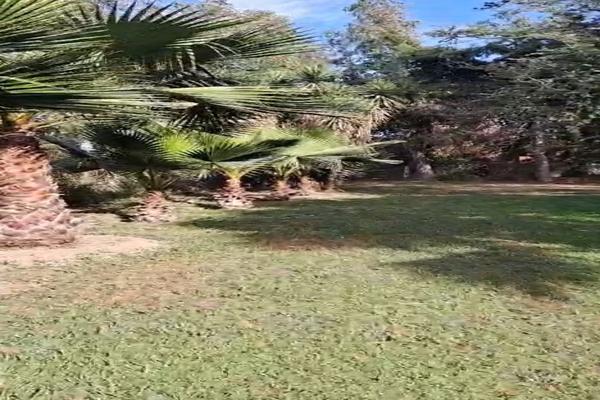 Foto de inmueble en LOPEZ COTILLA, Col. San Gaspar de las Flores C.P. 45408, Tonalá