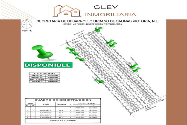 Foto de inmueble en  , Col. Los Morales C.P. 65530, Salinas Victoria