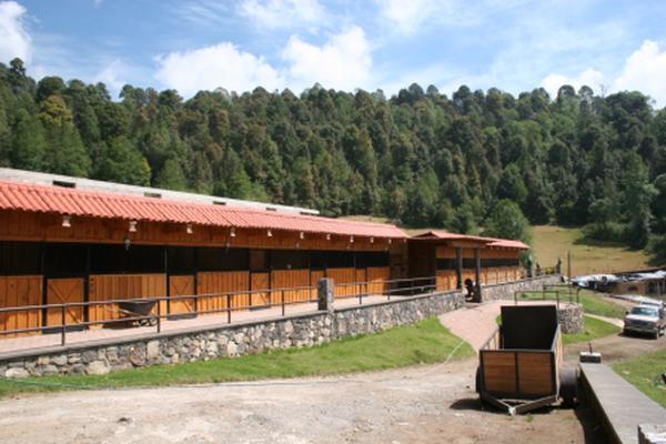 Foto de inmueble en LOS SAUCOS, Col. Los Saúcos C.P. 51200, Valle de Bravo