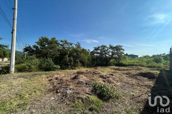 Foto de inmueble en Mangos #126, Col. Alpuyeca C.P. 62790, Xochitepec