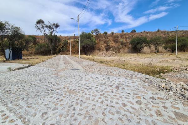 Foto de inmueble en manzano, Col. Villa Hidalgo Centro C.P. 47250, Villa Hidalgo