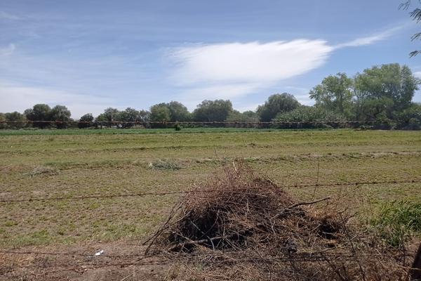 Foto de inmueble en Mariano Jimenez, Col. Soledad de Graciano Sanchez Centro C.P. 78430, Soledad de Graciano Sánchez