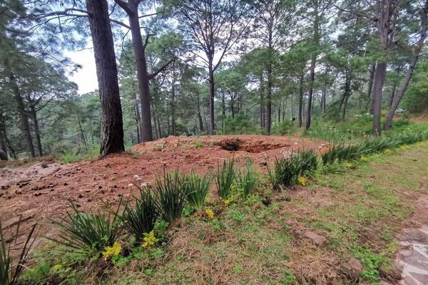 Foto de inmueble en  , Col. Mazamitla C.P. 49500, Mazamitla