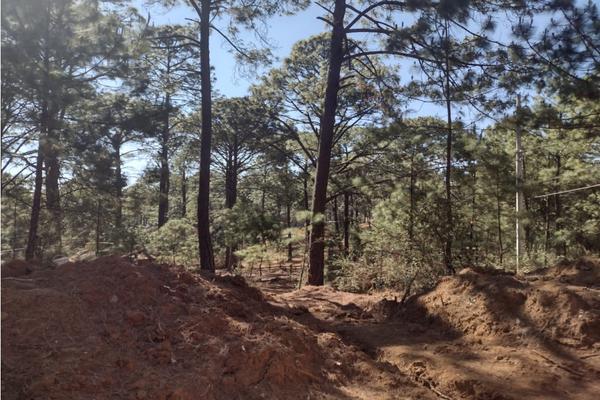 Foto de inmueble en pinos de mazamitla, Col. Mazamitla C.P. 49500, Mazamitla