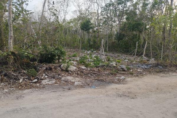 Foto de inmueble en MUYIL, Col. Señor C.P. 77150, Felipe Carrillo Puerto