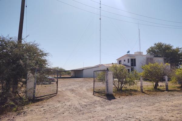 Foto de inmueble en  , Col. Nueva C.P. 85966, Huatabampo