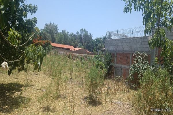 Foto de inmueble en P del Tigre, Col. Lomas de San Agustin II C.P. 45650, Tlajomulco de Zúñiga