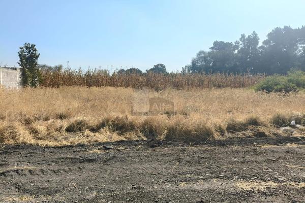 Foto de inmueble en PARCELA 35Z1, P1/2 #2, Col. Nezahualcóyotl (Boyeros) C.P. 56263, Texcoco