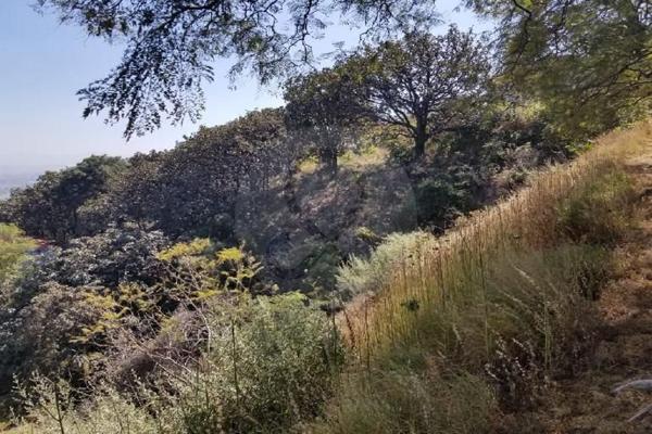 Foto de inmueble en PASEO DEL PALOMAR 229, Col. Adamar C.P. 45646, Tlajomulco de Zúñiga