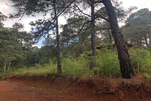 Foto de inmueble en Paseo del Pinar, Col. La Cofradia C.P. 49500, Mazamitla