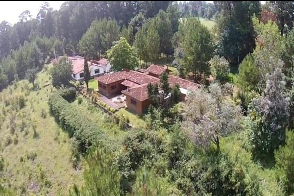 Foto de inmueble en Pino, Col. Corazón de Durazno C.P. 61604, Pátzcuaro