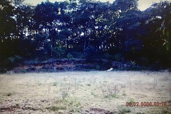 Foto de inmueble en  , Col. Progreso Industrial C.P. 54460, Nicolás Romero