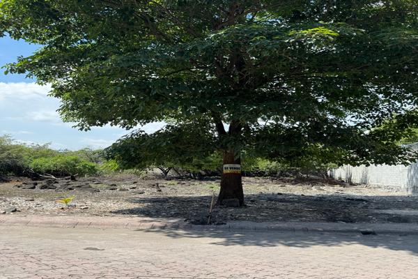 Foto de inmueble en  , Col. Real del Puente C.P. 62790, Xochitepec