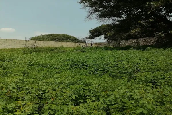 Foto de inmueble en Ruiseñores #24, Col. Altos de Oaxtepec C.P. 62738, Yautepec