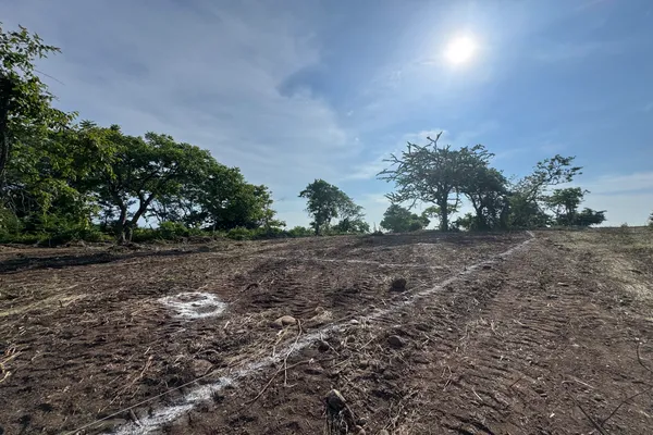 Foto de inmueble en Rumbo al reyno #1, Col. Guacamayas Comercial C.P. 60990, Lázaro Cárdenas