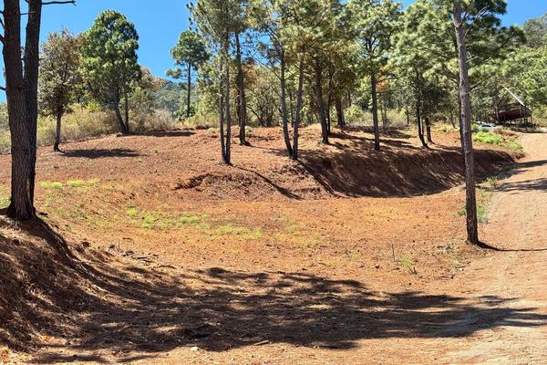 Foto de inmueble en Ruta turistica S/N Sierra del Tigre, Col. Valle de Juárez C.P. 49540, Valle de Juárez