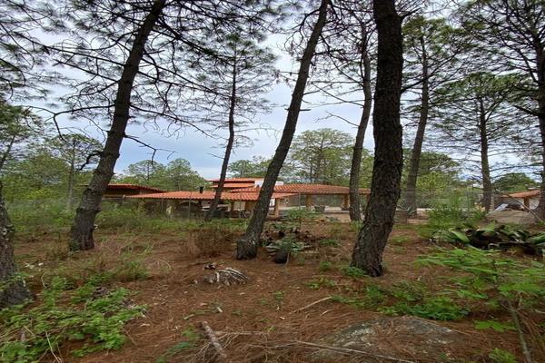 Foto de inmueble en  , Col. San Antonio C.P. 49340, Tapalpa