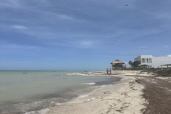 Foto de inmueble en san benito, Col. Chicxulub Puerto C.P. 97330, Progreso