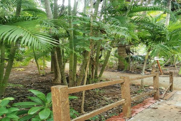 Foto de inmueble en  , Col. San Francisco de Campeche  Centro. C.P. 24000, Campeche