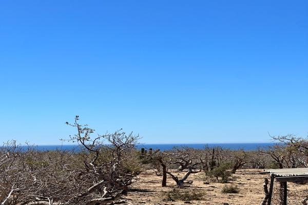 Foto de inmueble en  , Col. San José del Cabo Centro C.P. 23400, Los Cabos