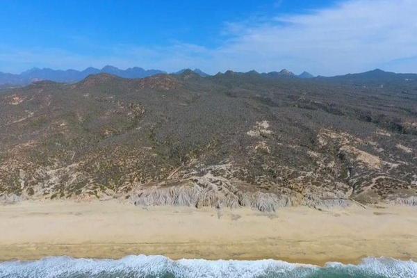 Foto de inmueble en  , Col. San José del Cabo Centro C.P. 23400, Los Cabos