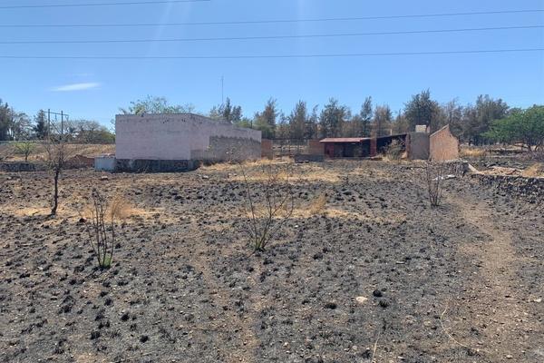 Foto de inmueble en  , Col. San Martín de Zula C.P. 47780, Ocotlán