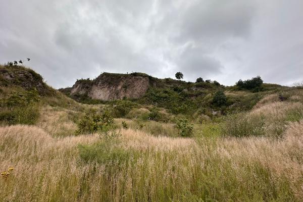 Foto de inmueble en  , Col. San Martín Tepetlixpa C.P. 54763, Cuautitlán Izcalli