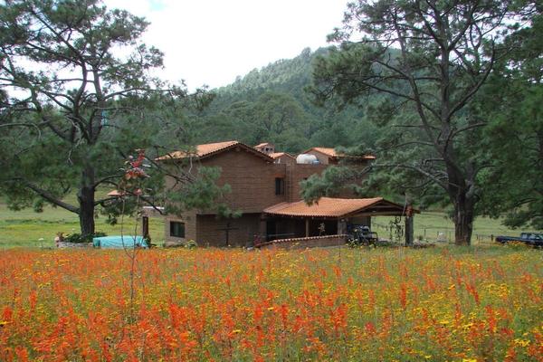 Foto de inmueble en SIN NOMBRE, Col. Juanacatlan C.P. 45880, Juanacatlán