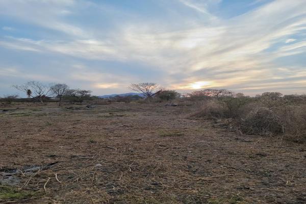 Foto de inmueble en SIN NOMBRE, Col. San Juan Tecomatlán C.P. 45975, Poncitlán