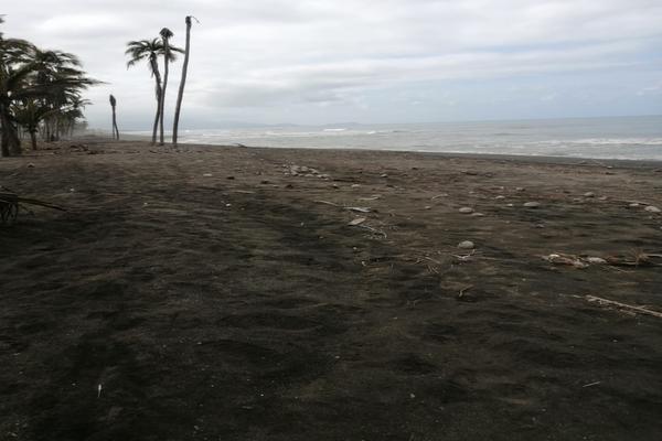 Foto de inmueble en TECOMAN, Col. Primaveras del Real C.P. 28180, Tecomán