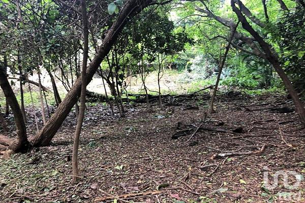 Foto de inmueble en Tres Cruces #214, Col. Ahuatepec C.P. 62300, Cuernavaca
