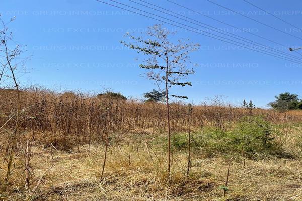Foto de inmueble en Vereda de las Violetas, Col. Los Sauces C.P. 45675, Tlajomulco de Zúñiga