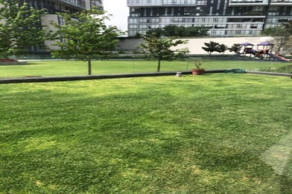 Foto de inmueble en via magna, Col. San Bartolo Naucalpan (Naucalpan Centro) C.P. 53000, Naucalpan de Juárez