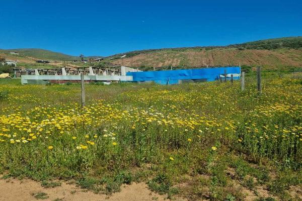 Foto de inmueble en  , Col. Villas del Campo C.P. 22785, Ensenada
