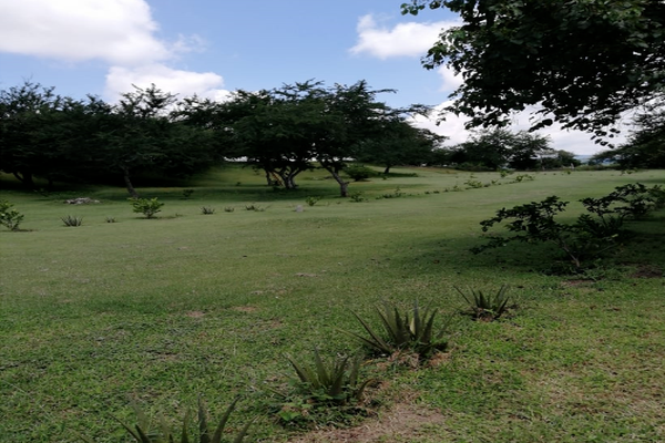 Foto de inmueble en  , Col. Xoxocotla C.P. 62680, Puente de Ixtla